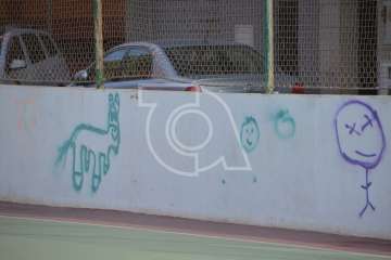 Estado de las canchas de Clavellinas (Foto 1-10), Caserones Altos (Foto 11-27) y Valle de los Nueve Bajo (Foto 28-32)